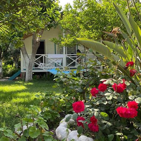 Bellerofon Beach Otel Çıralı Exteriér fotografie