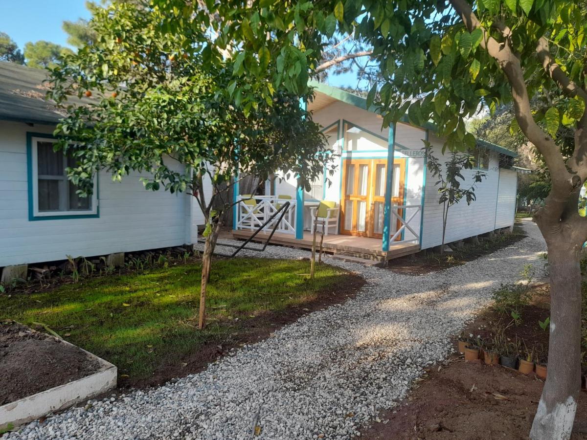 Bellerofon Beach Otel Çıralı Exteriér fotografie