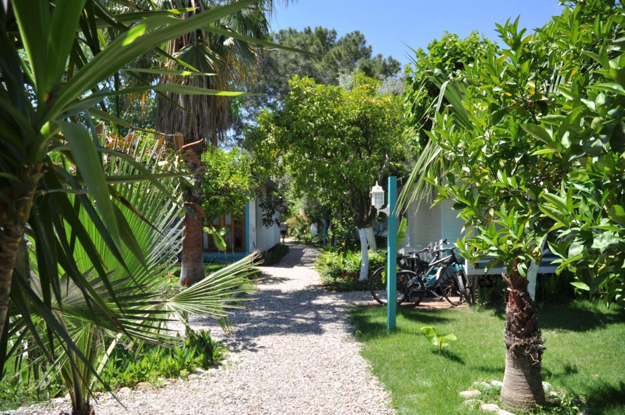 Bellerofon Beach Otel Çıralı Exteriér fotografie