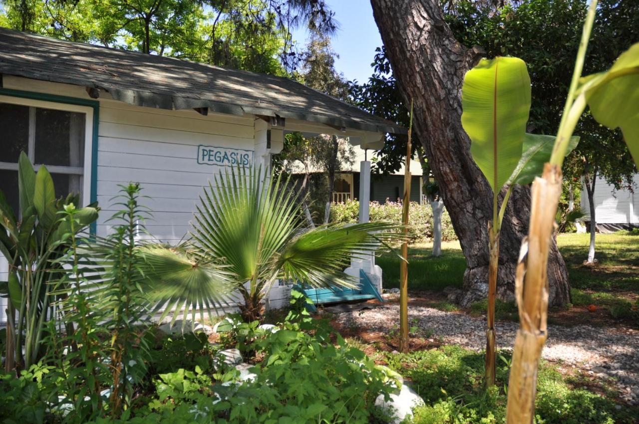 Bellerofon Beach Otel Çıralı Exteriér fotografie