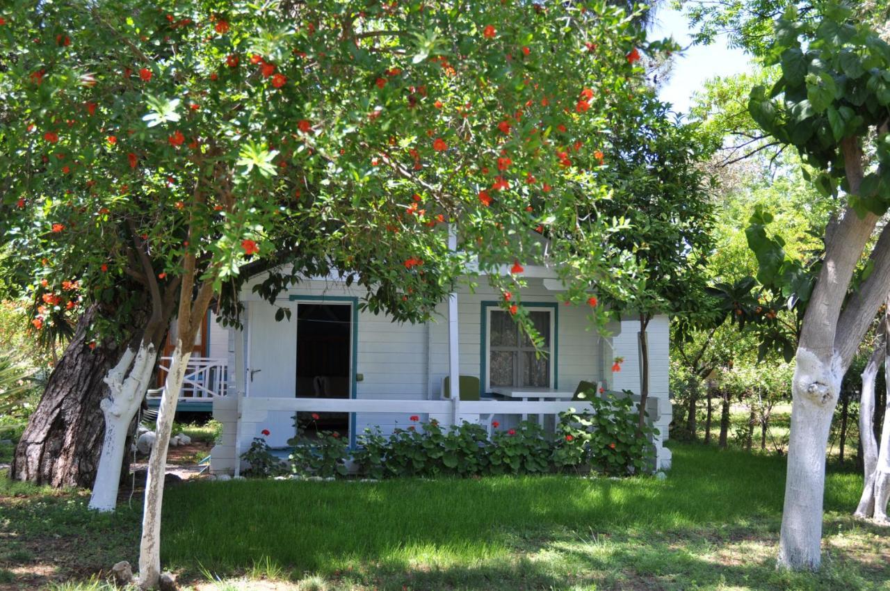 Bellerofon Beach Otel Çıralı Exteriér fotografie