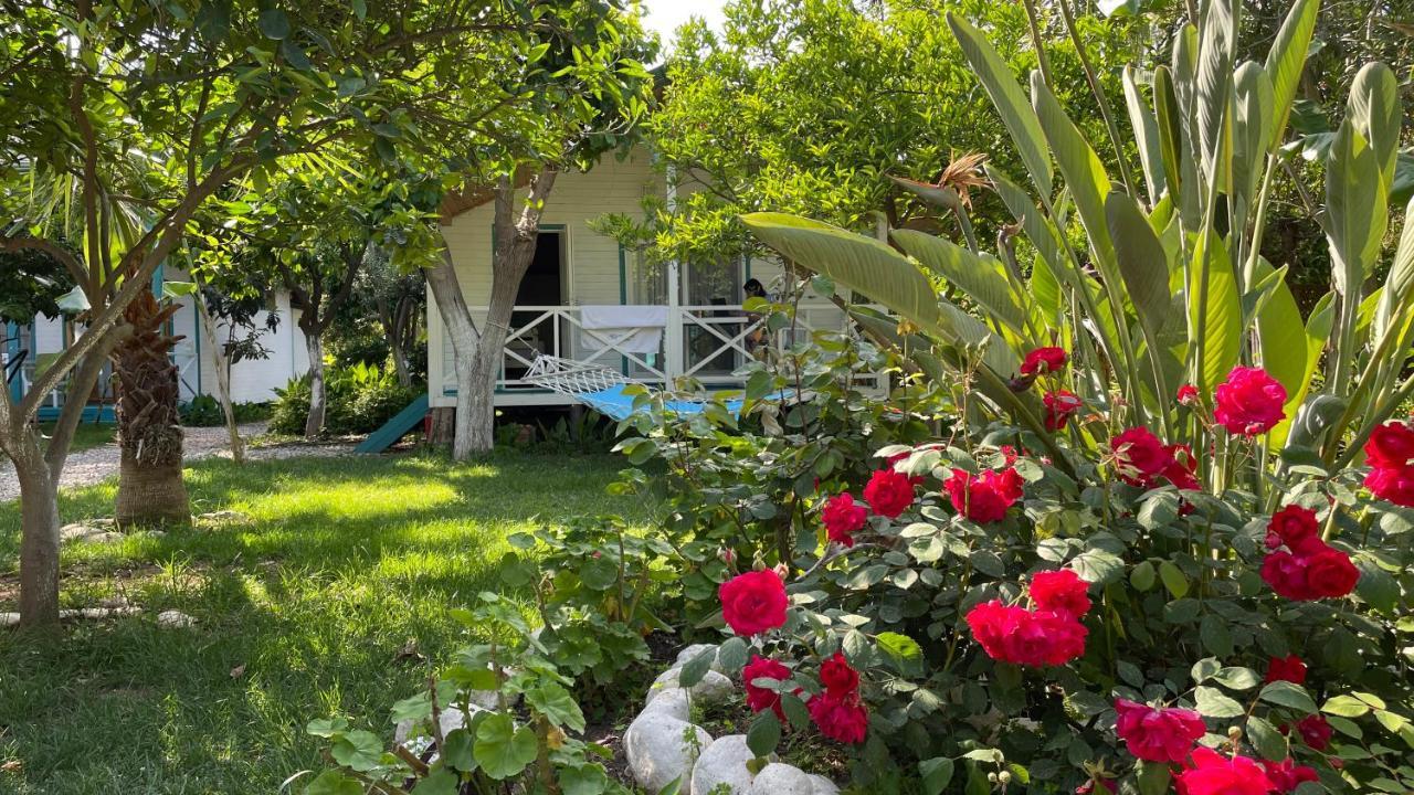 Bellerofon Beach Otel Çıralı Exteriér fotografie