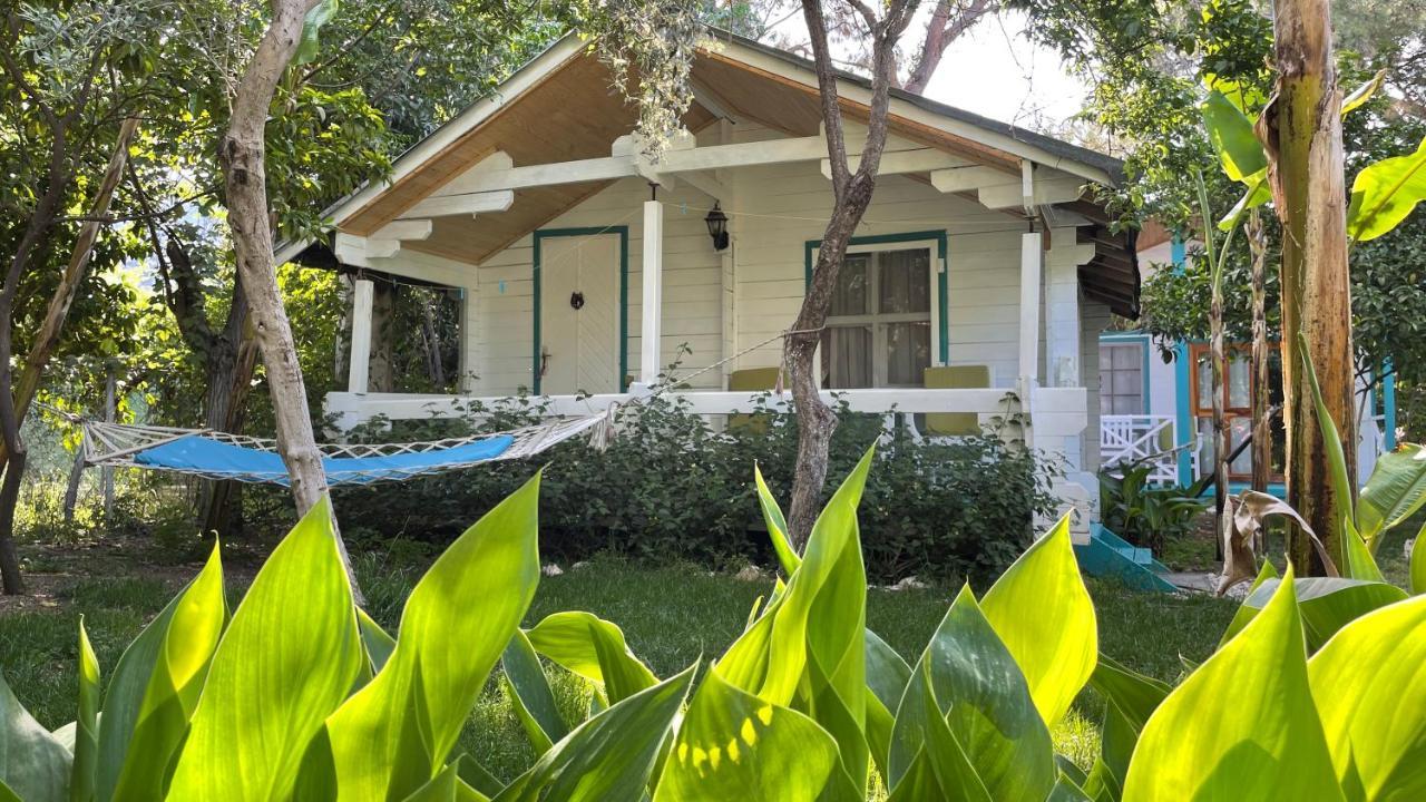 Bellerofon Beach Otel Çıralı Exteriér fotografie
