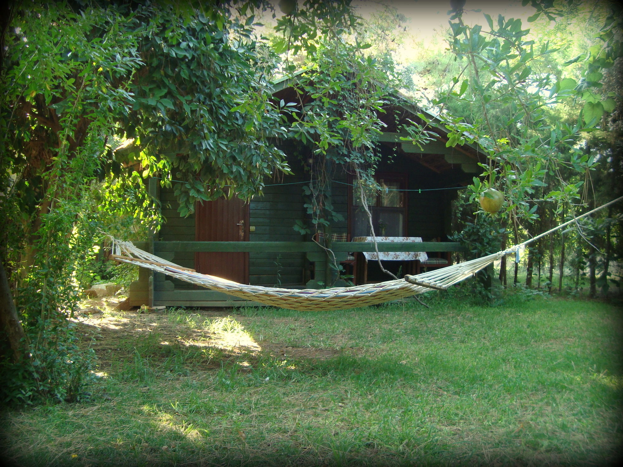 Bellerofon Beach Otel Çıralı Exteriér fotografie